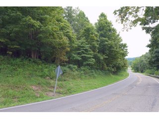 Tract 54 - Timberland & Farmland in Noble County, OH - LAND AUCTION - 12,200+/- ACRES OFFERED IN 65 TRACTS IN NOBLE COUNTY, OHIO